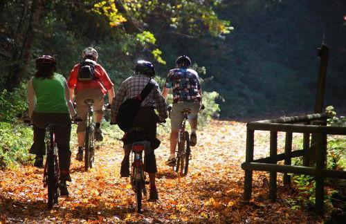 Ferienhaus Kranich - Foto 13