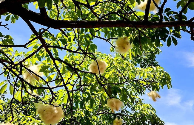 Etna Panoramic Villa With Swimming Pool - Foto 53