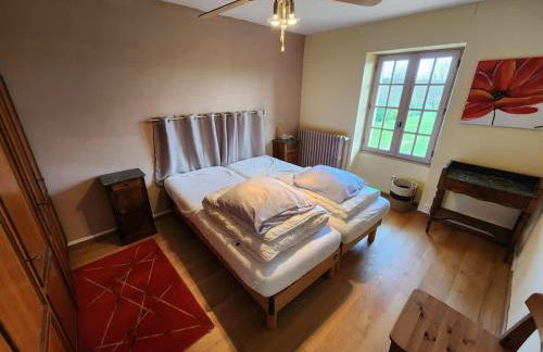 Spacious house with large garden in Valdivienne - Foto 5