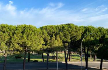 Tulip’house - Foto 9