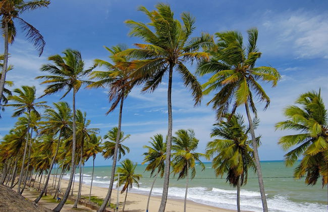 Chocolate com Pimenta Edifício - Foto 58