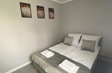 Energylandia Zator noclegi apartament pokoje do wynajęcia - Foto 13