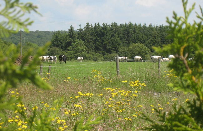Farmhouse in Aublain With Terrace - Foto 34