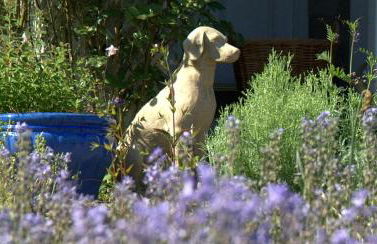 Anglers Retreat - Photo 13