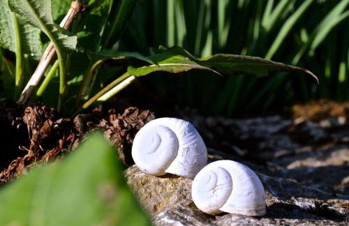 Atelier-Rapp - Foto 24