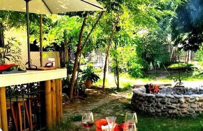 Dark Green House - Chacras de Coria - Photo 37