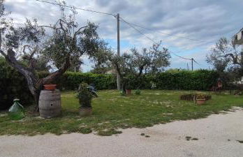 La Fattoria dei Desideri - Foto 9