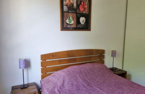 La Cabane Apolonia maison 6 pp Piscine en bord lac - Foto 14