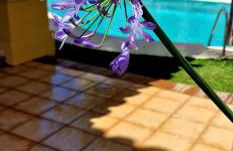 Family friendly villa next to Puerto Banus - Foto 21