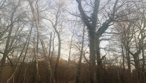 Ferienwohnung 2 Schlafzimmer 115qm J M Vermietung - Foto 5