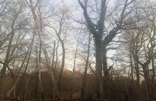 Ferienwohnung 2 Schlafzimmer 115qm J M Vermietung - Foto 5