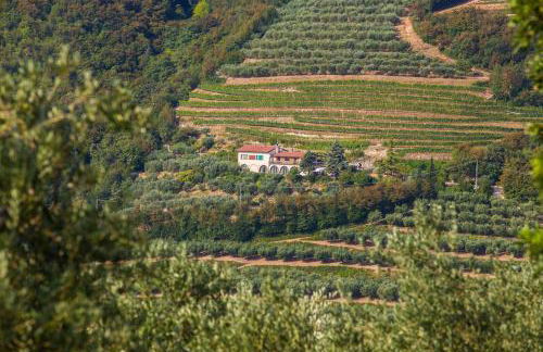 Agriturismo Casa Zen - Foto 37