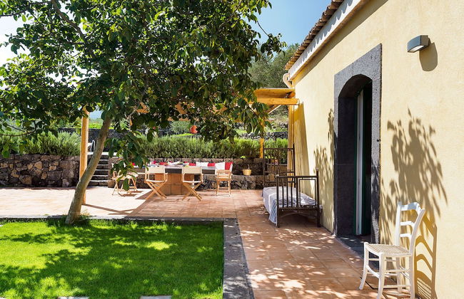 Nerello Mascalese - Foto 50