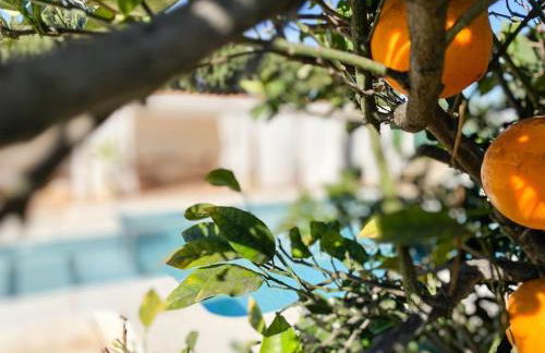 La Casa de la Oma -La Caseta - Foto 14