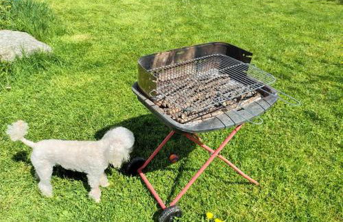 Casa Patron - Grande casa immersa nella natura della Valchiusella, vista montagna, perfetta per famiglie e gruppi a 1 ora da Torino - Foto 68