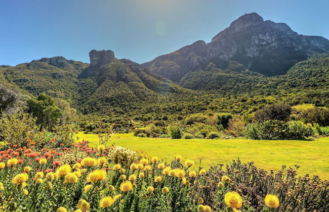 Hout Bay Beach Cottage - Photo 32
