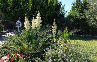 Elia by the sea - Photo 21