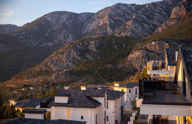 Antique Hills - Foto 23