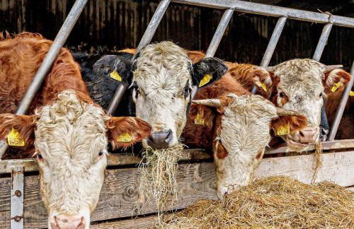 1 Bed in Leighton 80727 - Foto 15