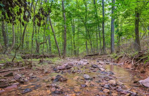Trailblazer Lodge - Upscale, hot tub, trail, game room, wifi, fire pit, bar, pool table, king bed, view, pet friendly - Photo 52