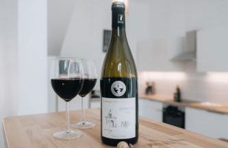 La Maison sur la Loire À deux pas du cœur de Tours - Foto 45