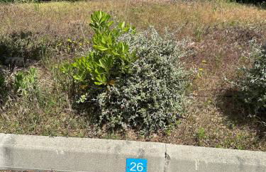 Porto vecchio Résidence Don Andria T2 - Foto 15