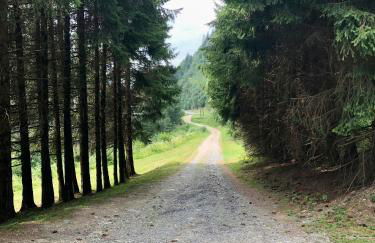 Chalet Rivière du Bon Nant Location de 6 à 14 personnes en Haute Savoie - Foto 9