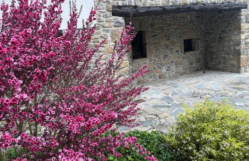 LA QUINTA DE PUELLES - Foto 15