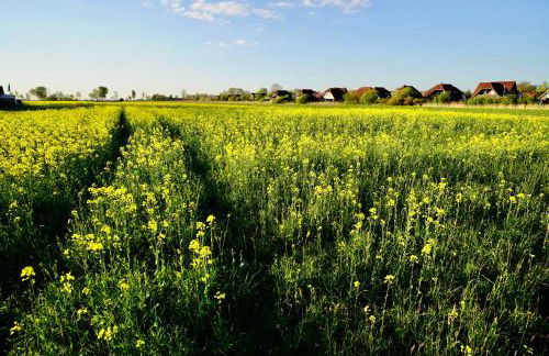 Ferienhaus Meerzeit-Hooksiel - Foto 62