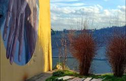 La Mimosa - Photo 25