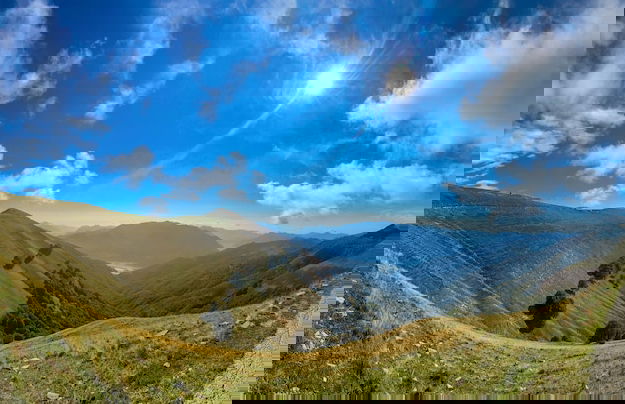 Alexander Place - Foto 46