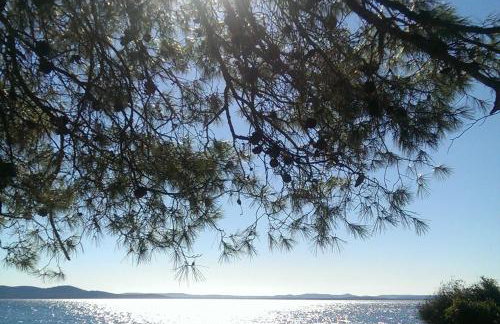 Apartments with garden - Foto 38