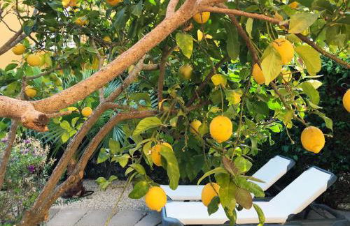 Casa Kalea - Foto 34