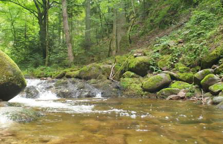 Family Suites & Parking - Foto 40