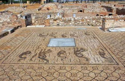 Miky M House - Foto 28