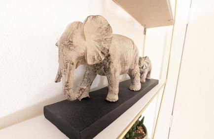 Lovely 2 Bedroom Apartment in Central Location - Photo 16