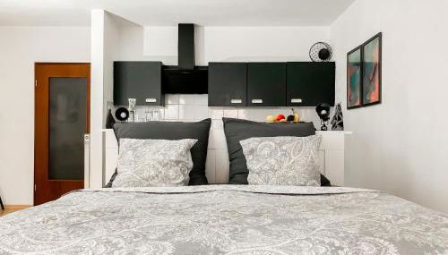 Studio near Altstadt /w Workspace, Feng-Shui & Art - Foto 5