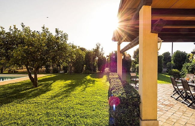 Don Salvatore - Foto 15