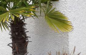 Casa Belle - Photo 14