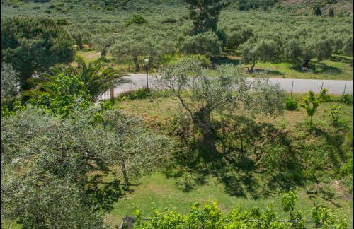 Sunray Separate Villa - Photo 33