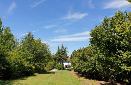 Casa Magica - Foto 28