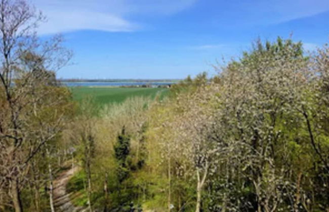 Holiday Home Lotsenhaus am Breetzer Bodden - Photo 23