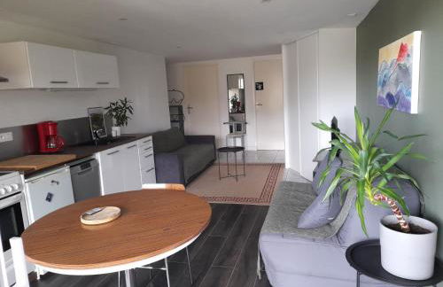 A 5 mns du Puy de Dôme avec Vue imprenable Studio rez de jardin 24m2 neuf à Laschamps - Foto 8