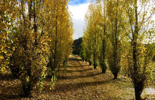 Quiet Cottage Rental for Two in Horse Country near Yosemite National Park Gateway, California - Foto 18