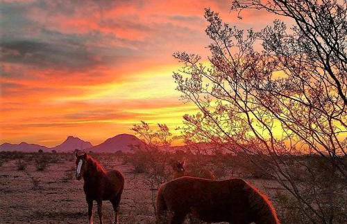 Rio Rancho Verde Two Bedroom Suite - Foto 10