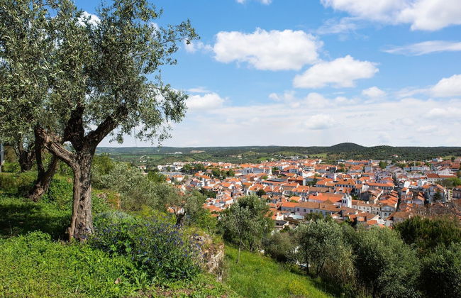 Wine Country Home in Alentejo - Foto 34