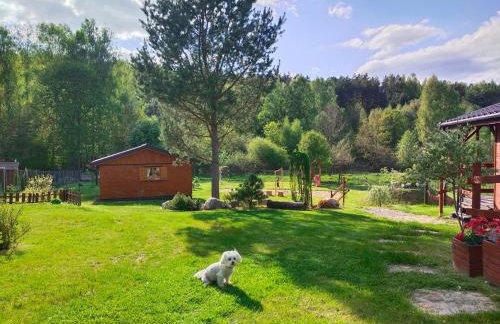 Domki letniskowe przy lesie - "U Łastka" - Foto 22