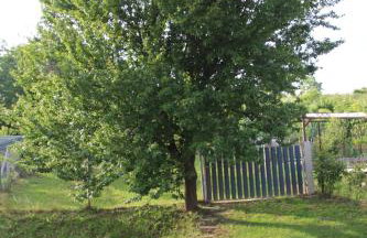 Kuća za odmor "Nedeljko"/ Holliday hause "Nedeljko" - Foto 9