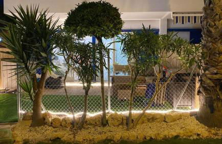 APARTMENT PALMAS DE COCO - Foto 38