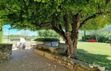 Mas aux gourmandises - Foto 29